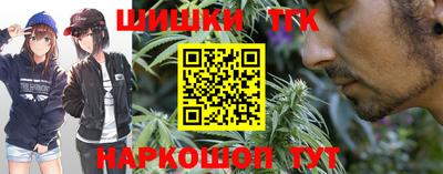 стаф Аргун