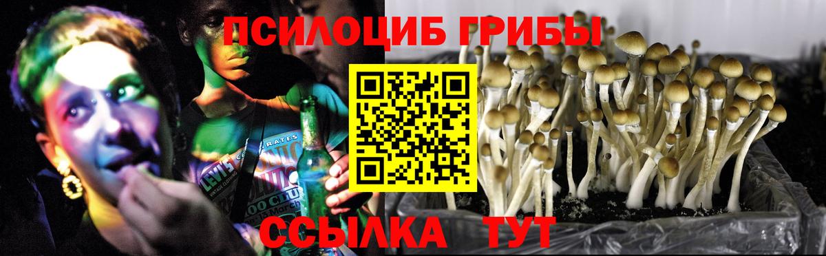Псилоцибиновые грибы Psilocybine cubensis Выкса