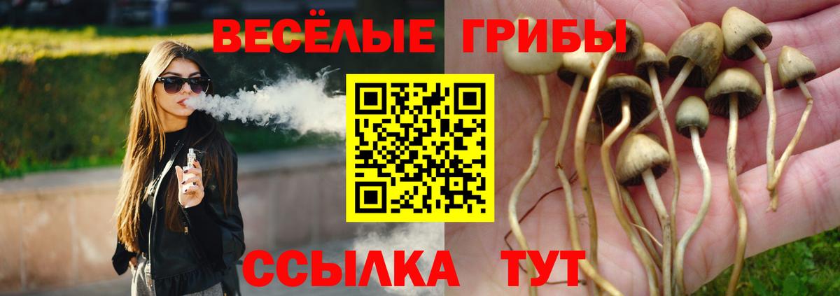 Выкса  Галлюциногенные грибы Magic Shrooms  Вход с VPN 