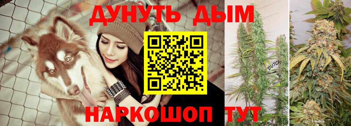 Шишки марихуана конопля Выкса